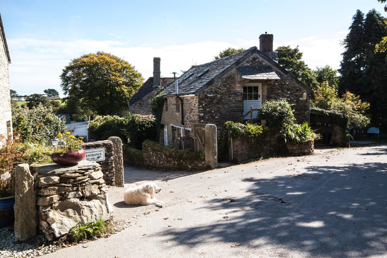Trenderway Farm Bed and Breakfast Looe Eksteriør billede