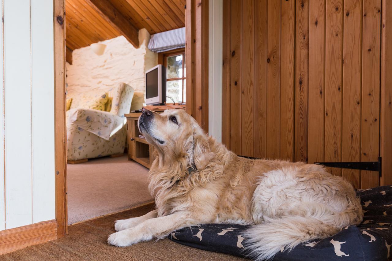 Trenderway Farm Bed and Breakfast Looe Eksteriør billede