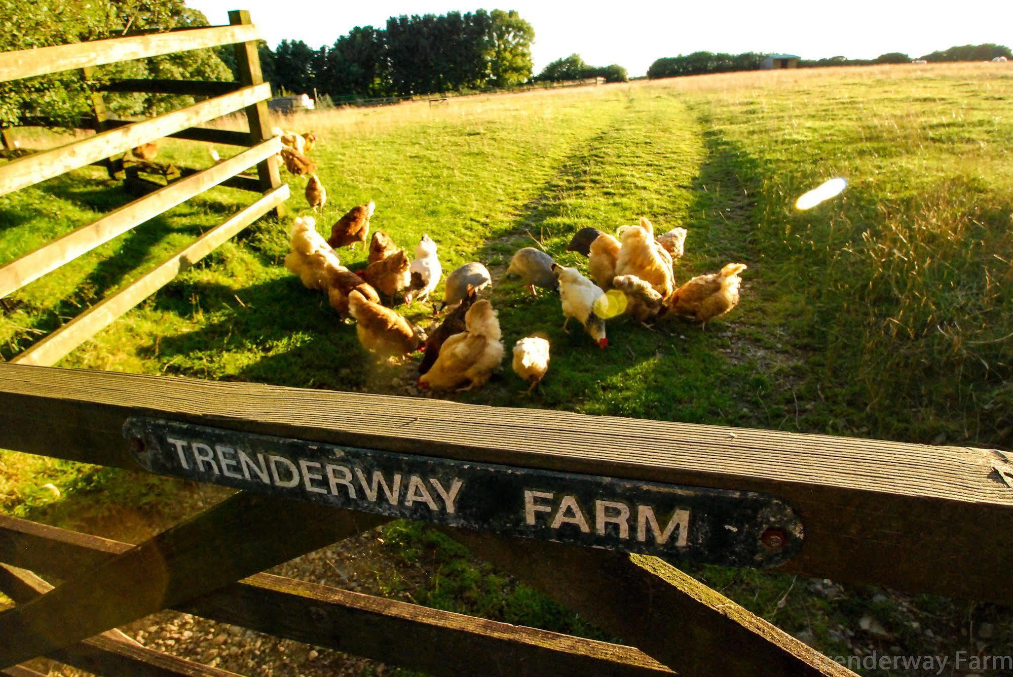 Trenderway Farm Bed and Breakfast Looe Eksteriør billede